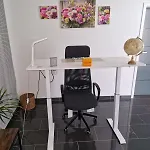 Zentrales City-apartment Mit Garage Und Arbeitsplatz Geeignet Fuer Business Und Familie * Duisburg